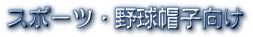 分厚くて硬い製品、スポーツ製品向けの刺しゅう機のご提案です